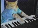 Charlie Schmidt’s Keyboard Cat! – THE ORIGINAL!