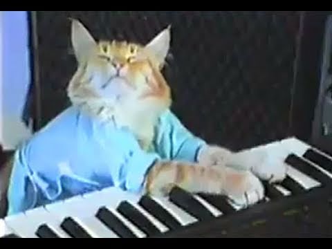 Charlie Schmidt’s Keyboard Cat! – THE ORIGINAL!