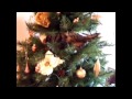 Epic Funny Cats 20 Minutes